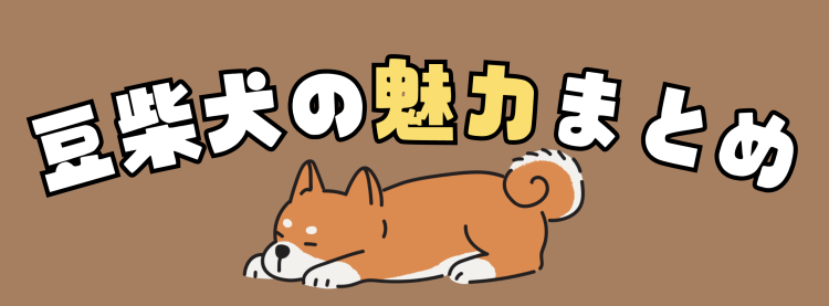 豆柴犬の魅力まとめ